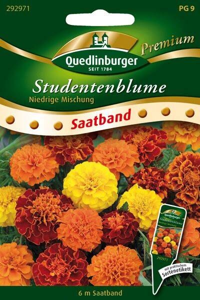 SB Studentenblume Niedrige Mischung